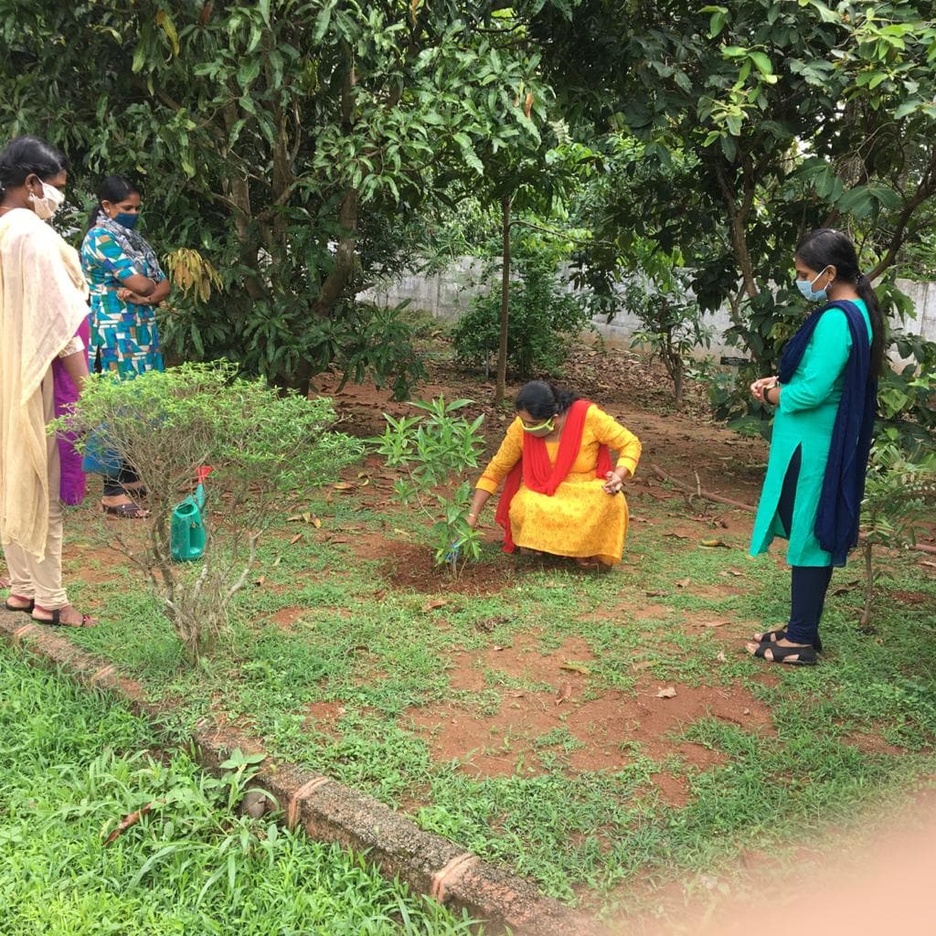 Westfort College Of Pharmacy Thrissur Environmental Day photo 4
