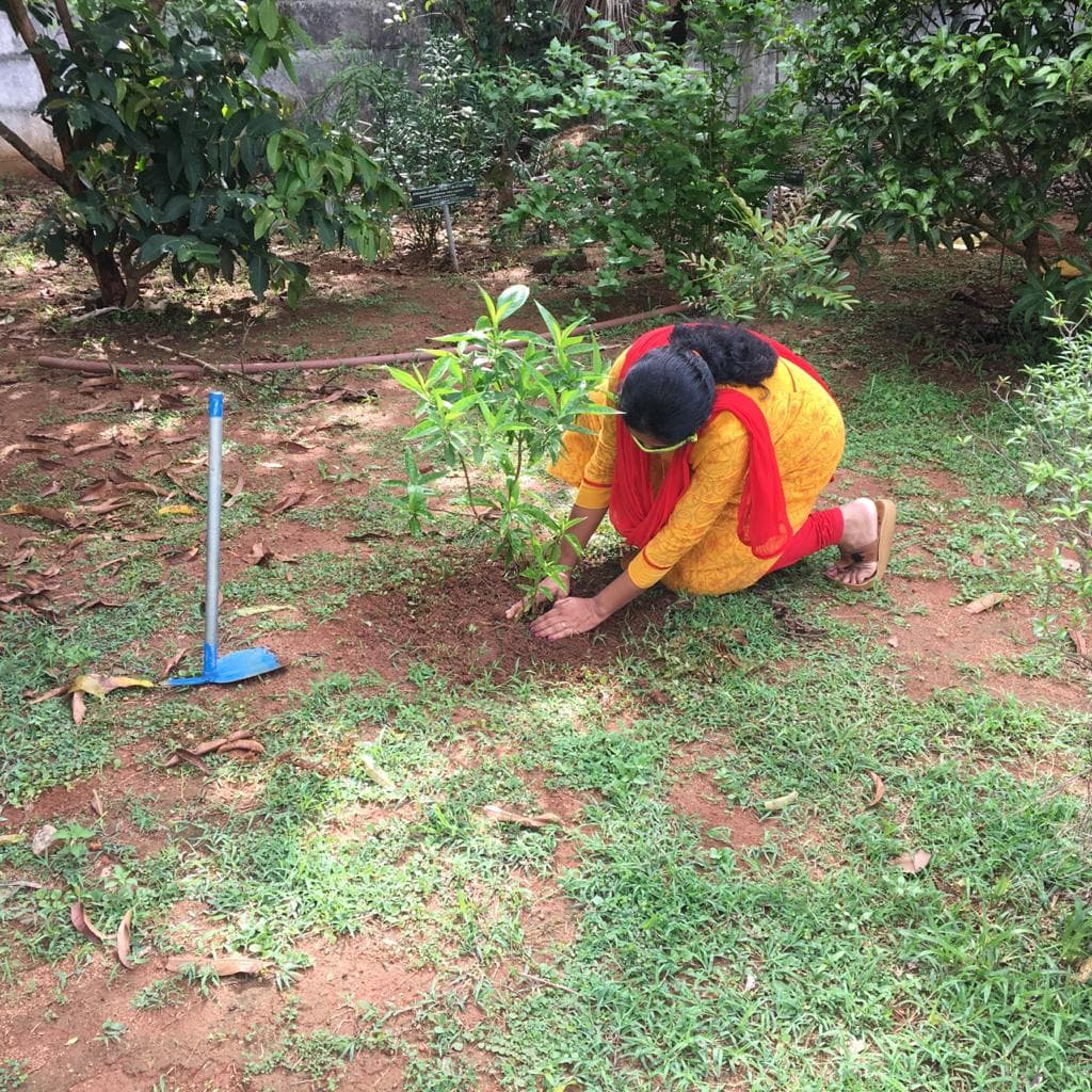 Westfort College Of Pharmacy Thrissur Environmental Day photo 5