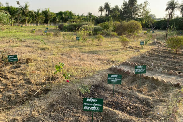 Charak Ayurvedic Medical College Hospital & Research Center Meerut Extra Curriculars photo 11