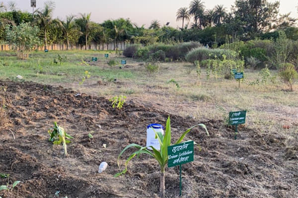 Charak Ayurvedic Medical College Hospital & Research Center Meerut Extra Curriculars photo 12