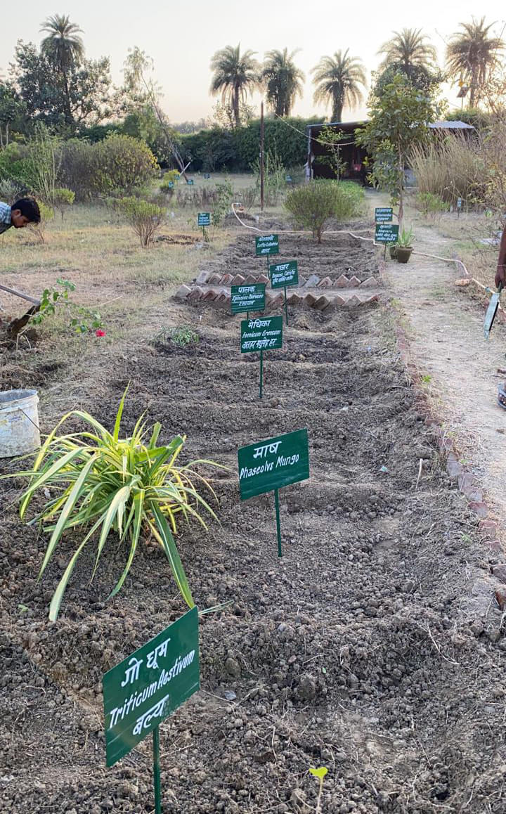 Charak Ayurvedic Medical College Hospital & Research Center Meerut Extra Curriculars photo 13