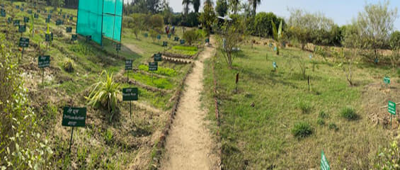 Charak Ayurvedic Medical College Hospital & Research Center Meerut Extra Curriculars photo 14