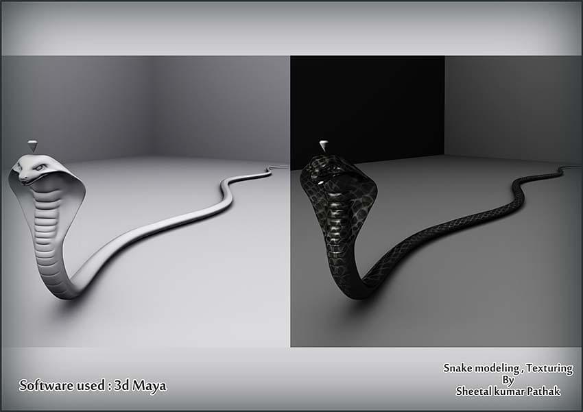 Digiquest Institute of Creative Arts & Design Hyderabad Student's Work photo 13