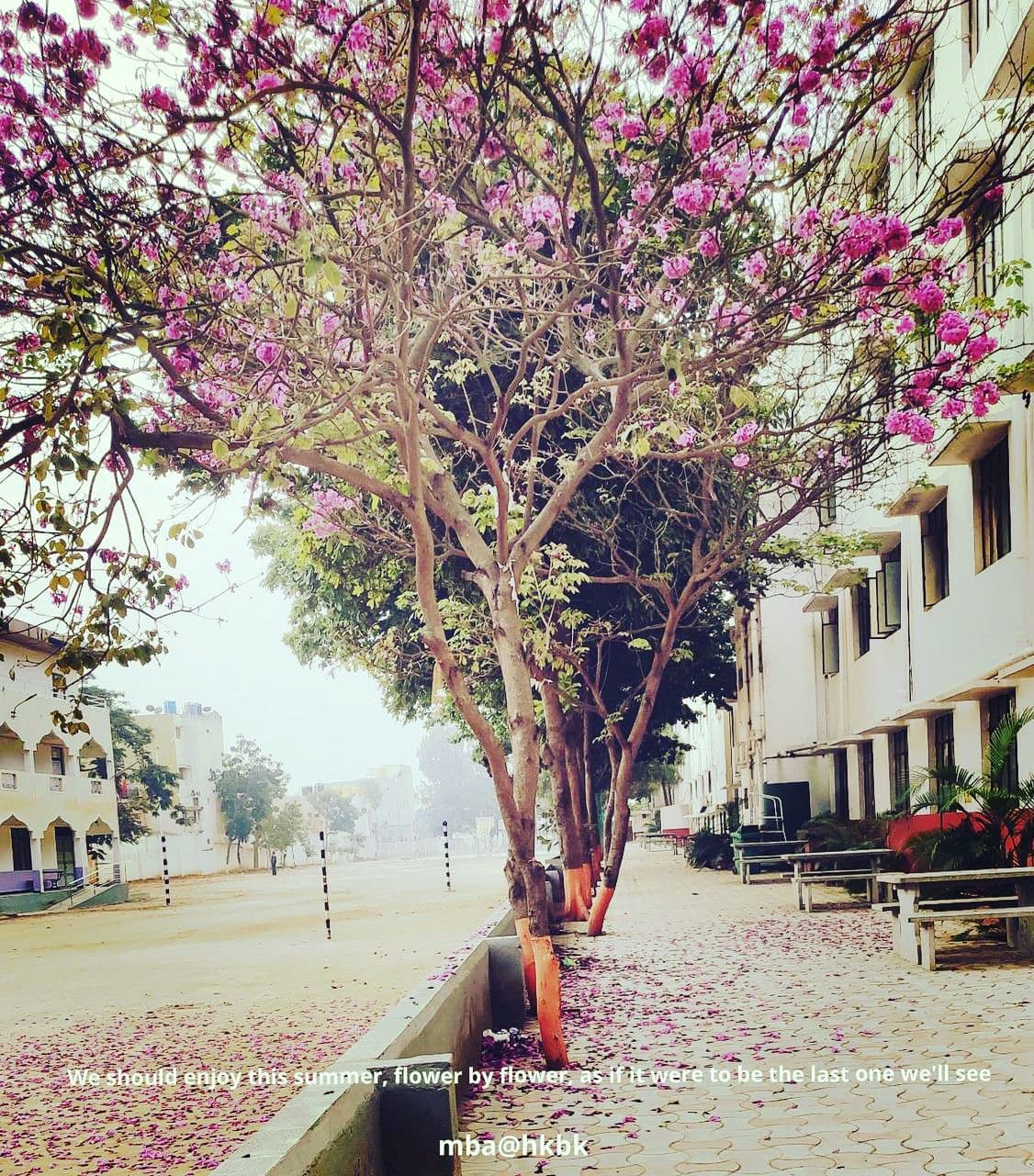 One School Of Business Bangalore ONESB Images photo 2