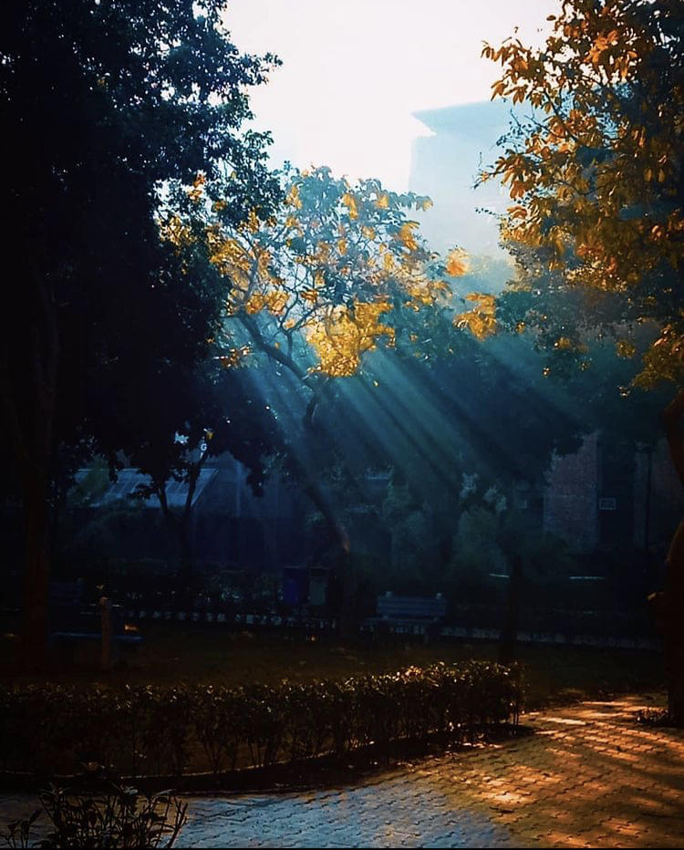 LPU LPU Campus photo 59