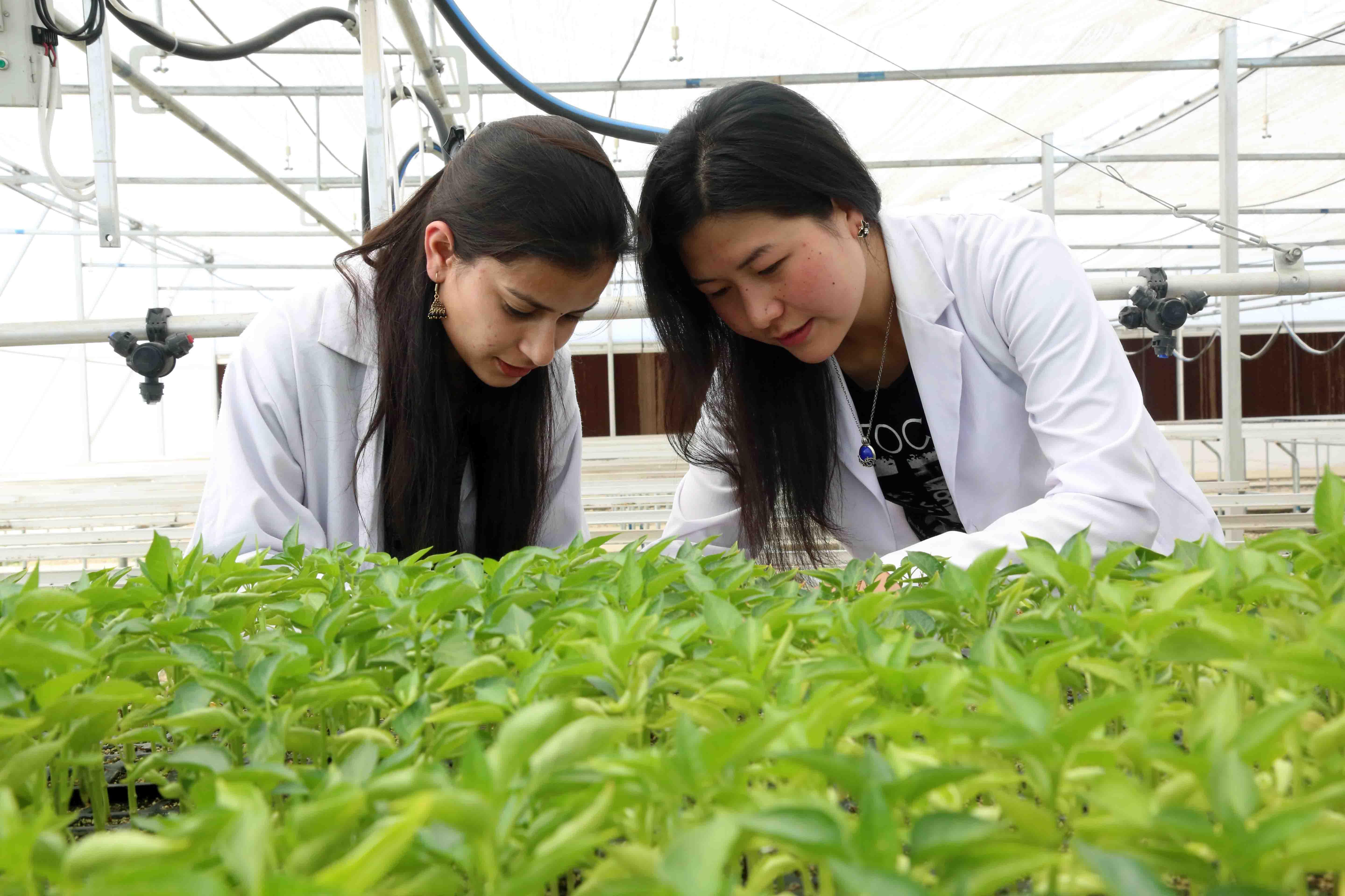 LPU Agriculture photo 4