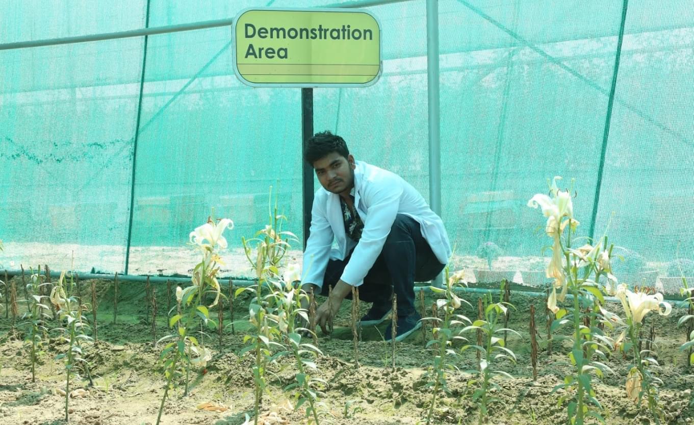 LPU Agriculture photo 5