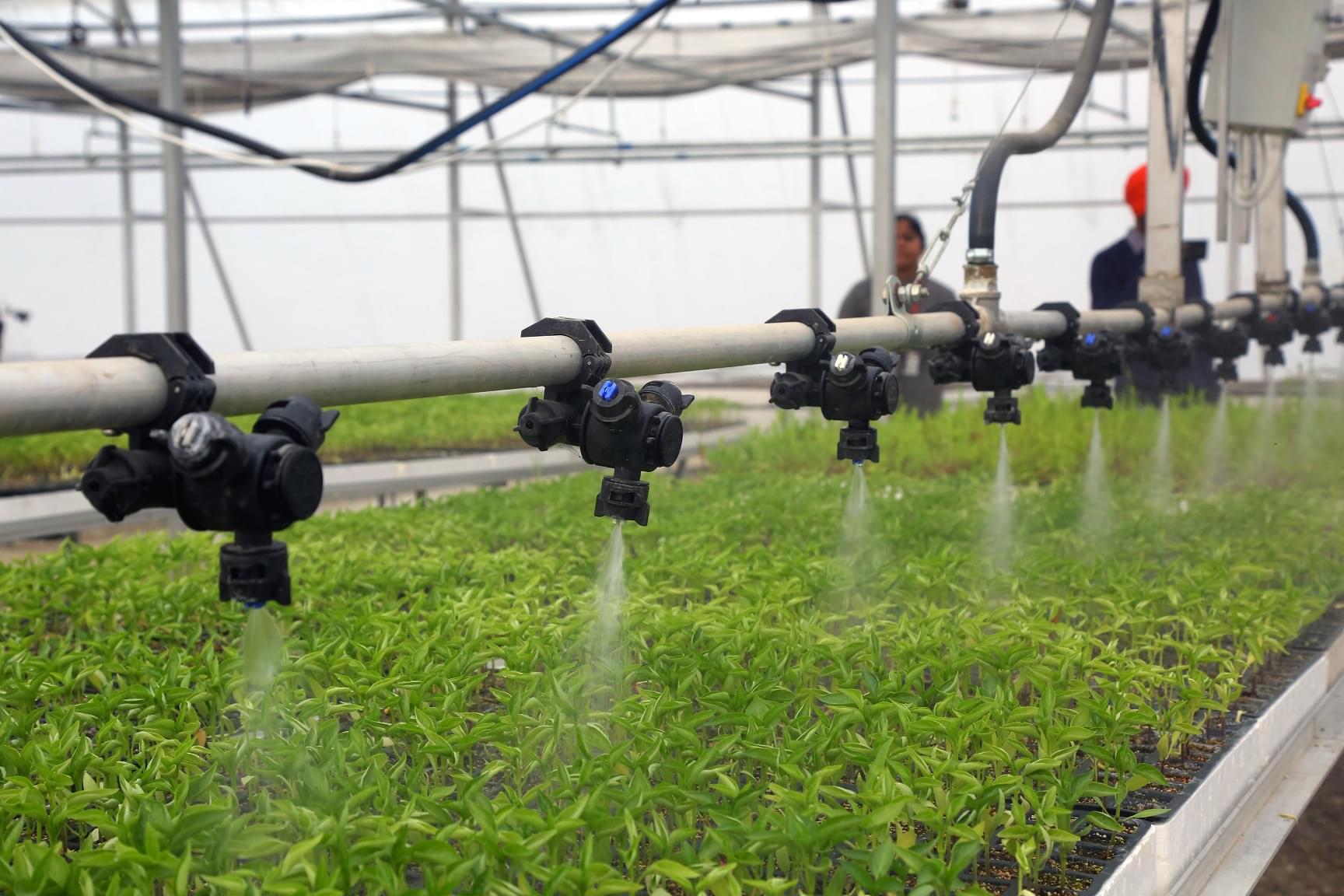 LPU Agriculture photo 6