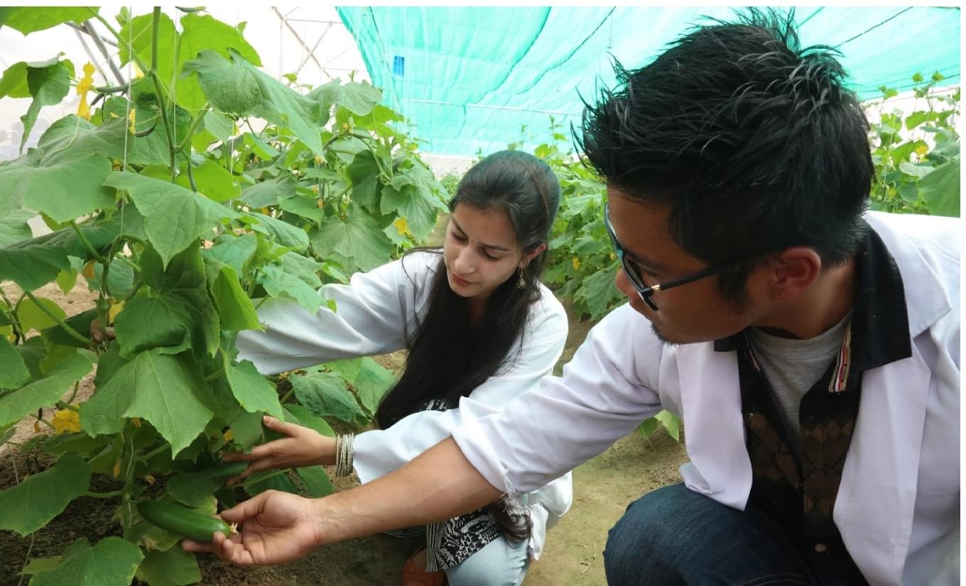 LPU Agriculture photo 7