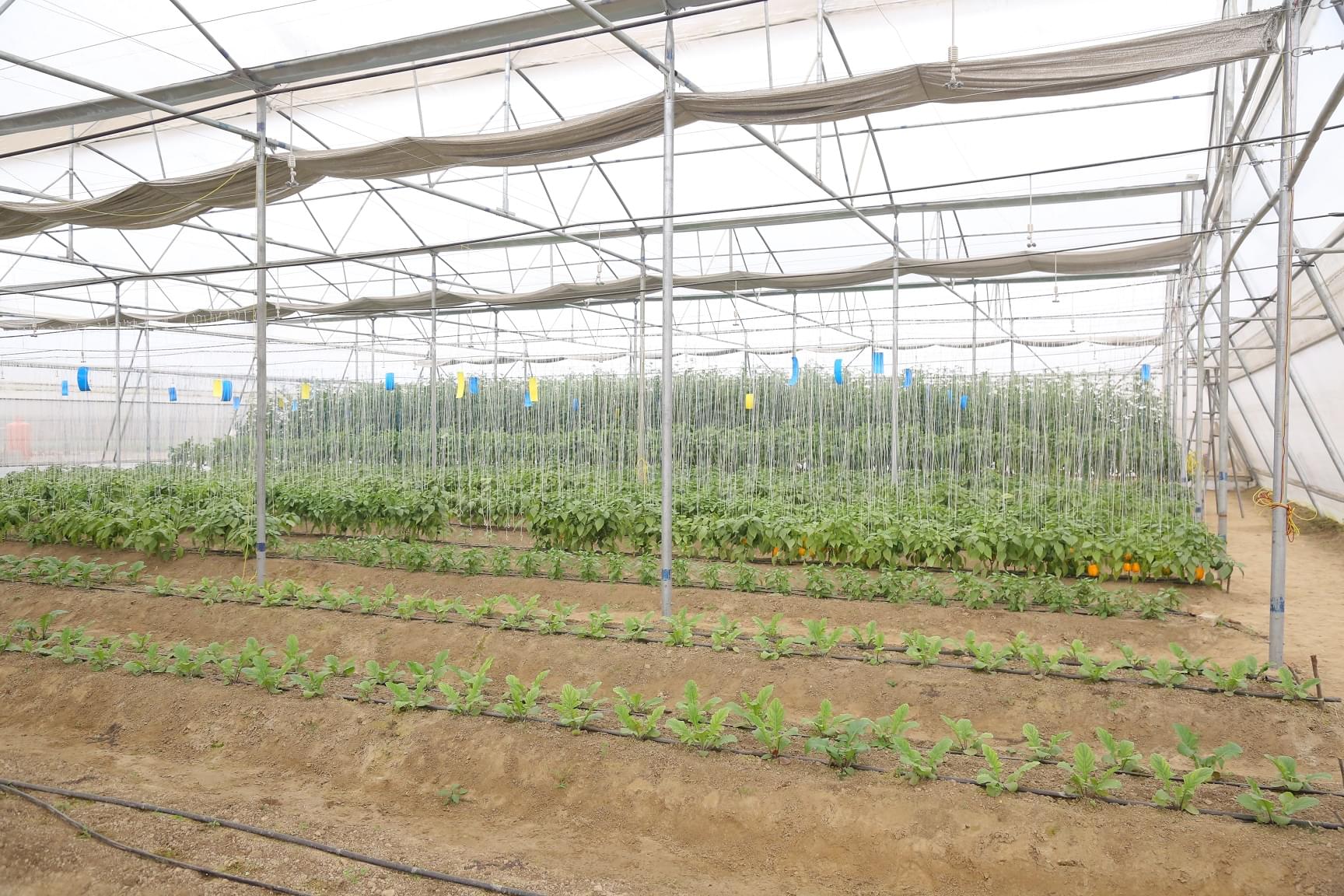 LPU Agriculture photo 13