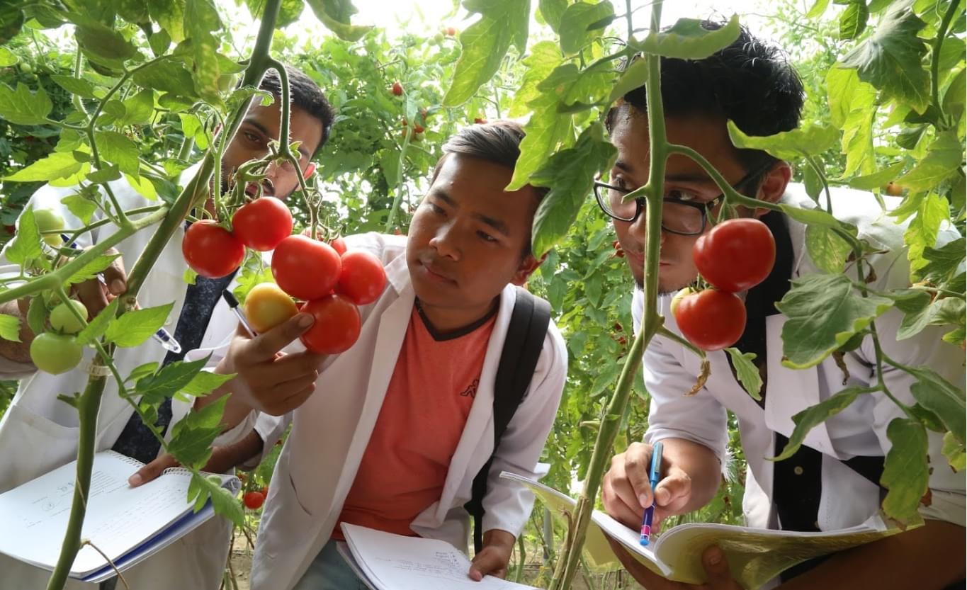 LPU Agriculture photo 9