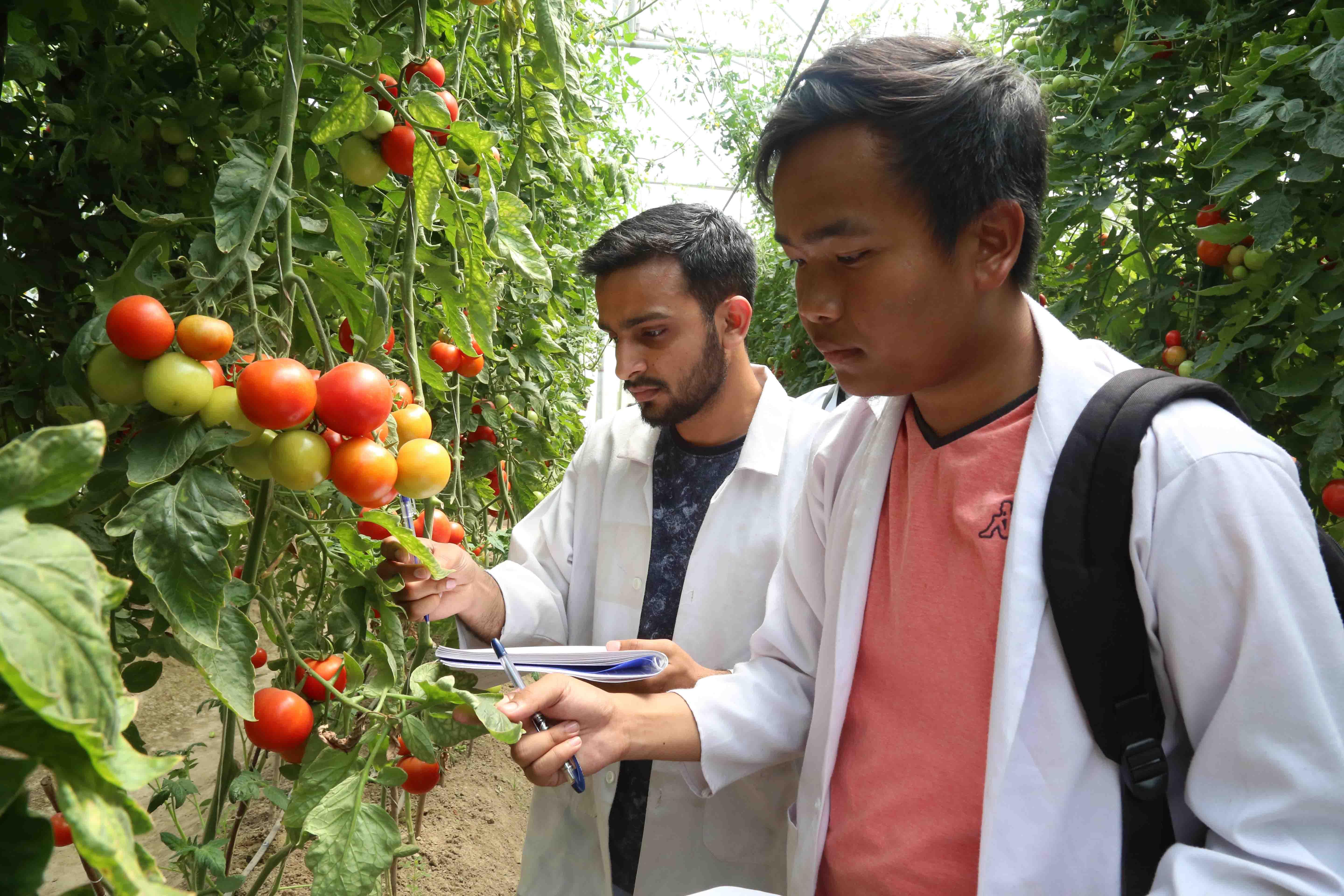 LPU Agriculture photo 10