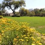 Institute of Mental Health and Hospital Agra  Campus photo 1