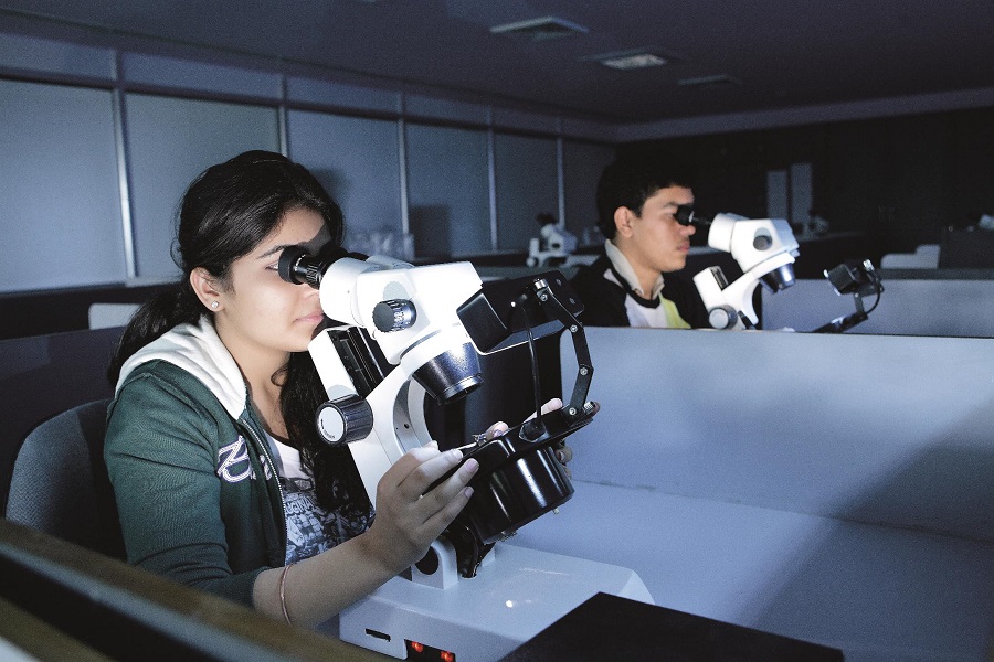 Indian Institute of Gem and Jewellery Jaipur Campus photo 10