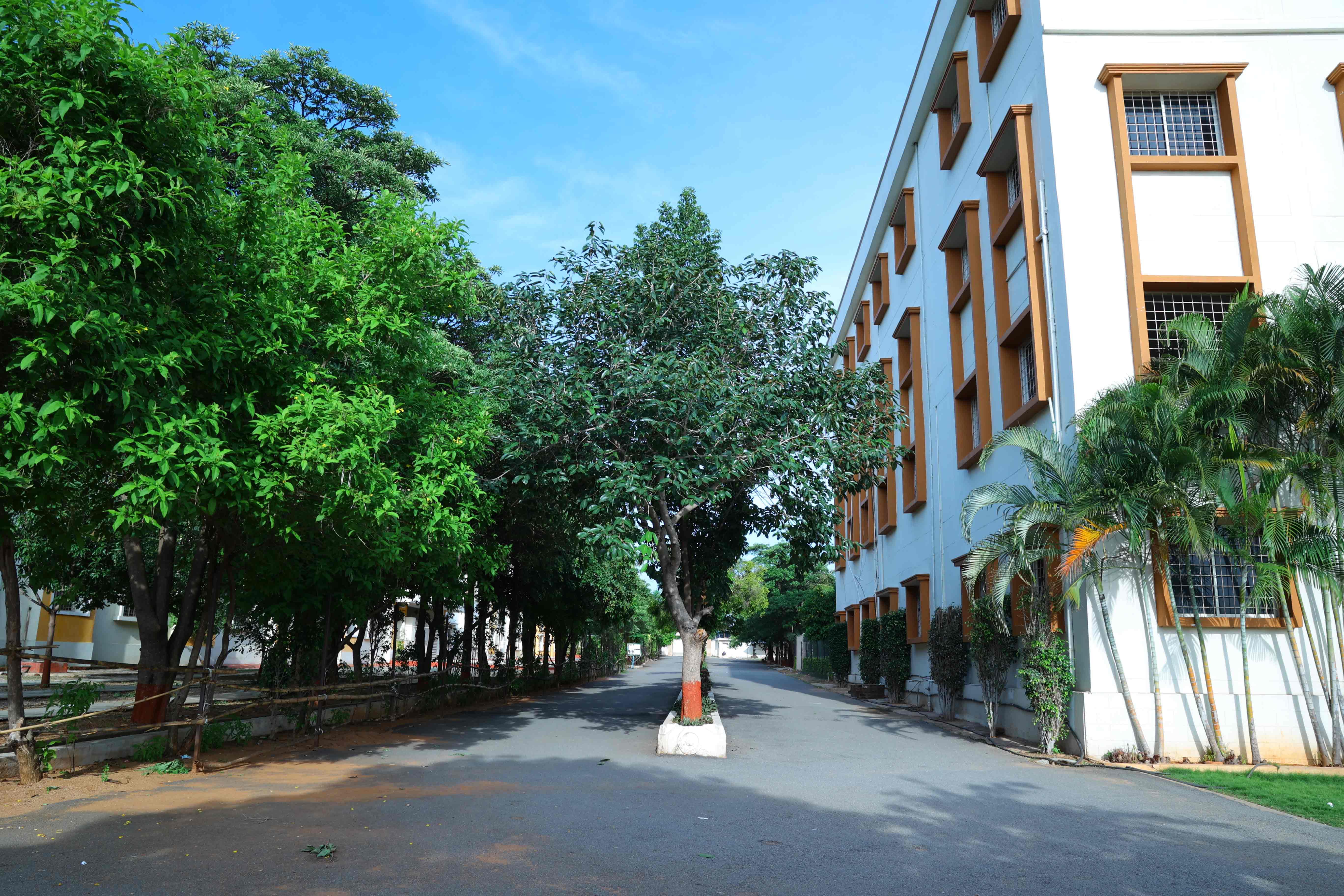 Sree Dattha Institute of Engineering and Science Rangareddy Infrastructure photo 11