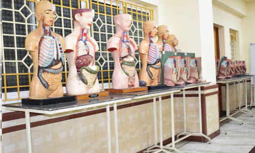 Sri Lalithambigai Medical College & Hospital Chennai Facilities and Infrastructure photo 7