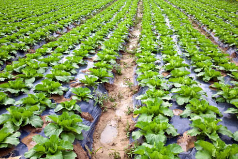 Kunal Professional Educational Academy Agra hostel photo 4