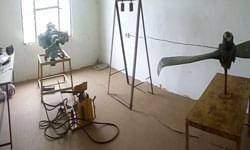 Manav Institute of Pharmacy Hisar Facilities and Infrastructure photo 2