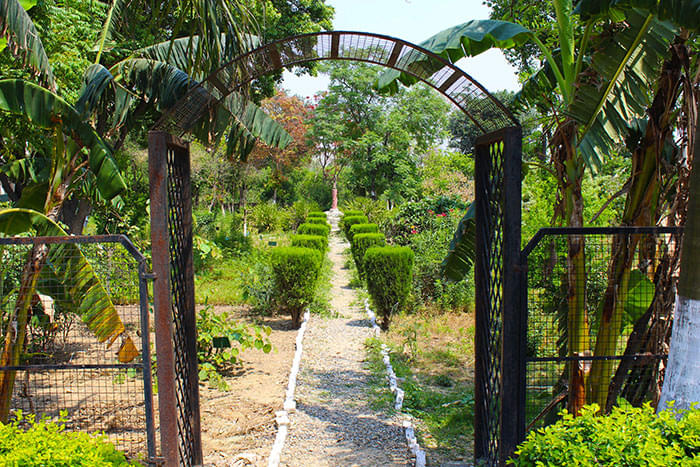 Ch. Devi Lal College of Pharmacy Yamuna Nagar Facilities and Infrastructure photo 7