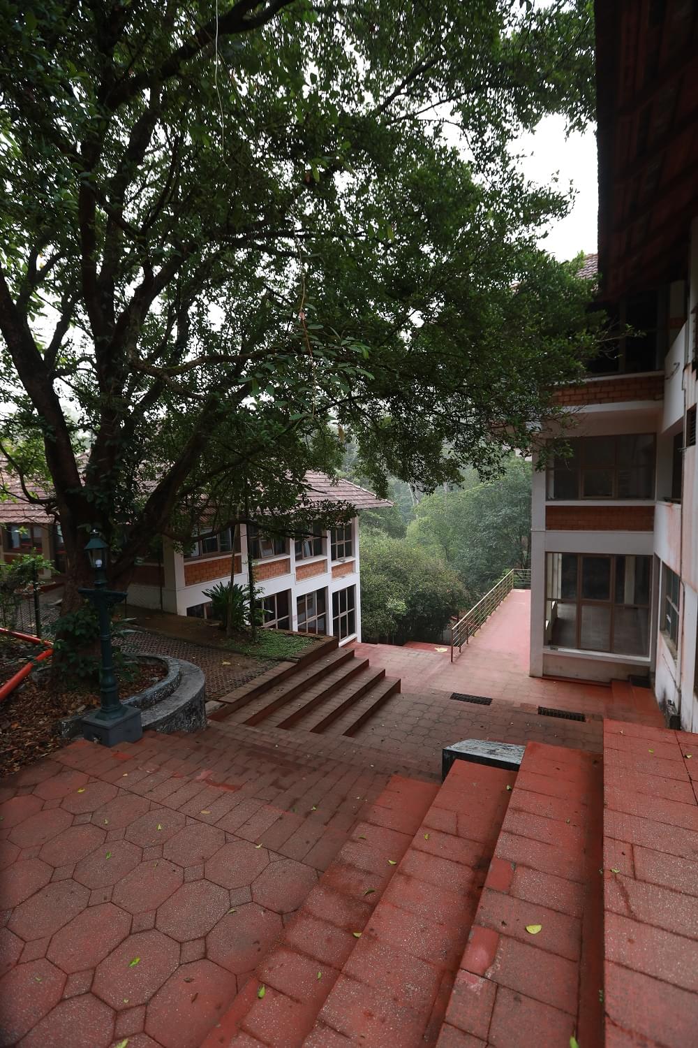 DC School of Management and Technology Thiruvananthapuram Campus photo 14