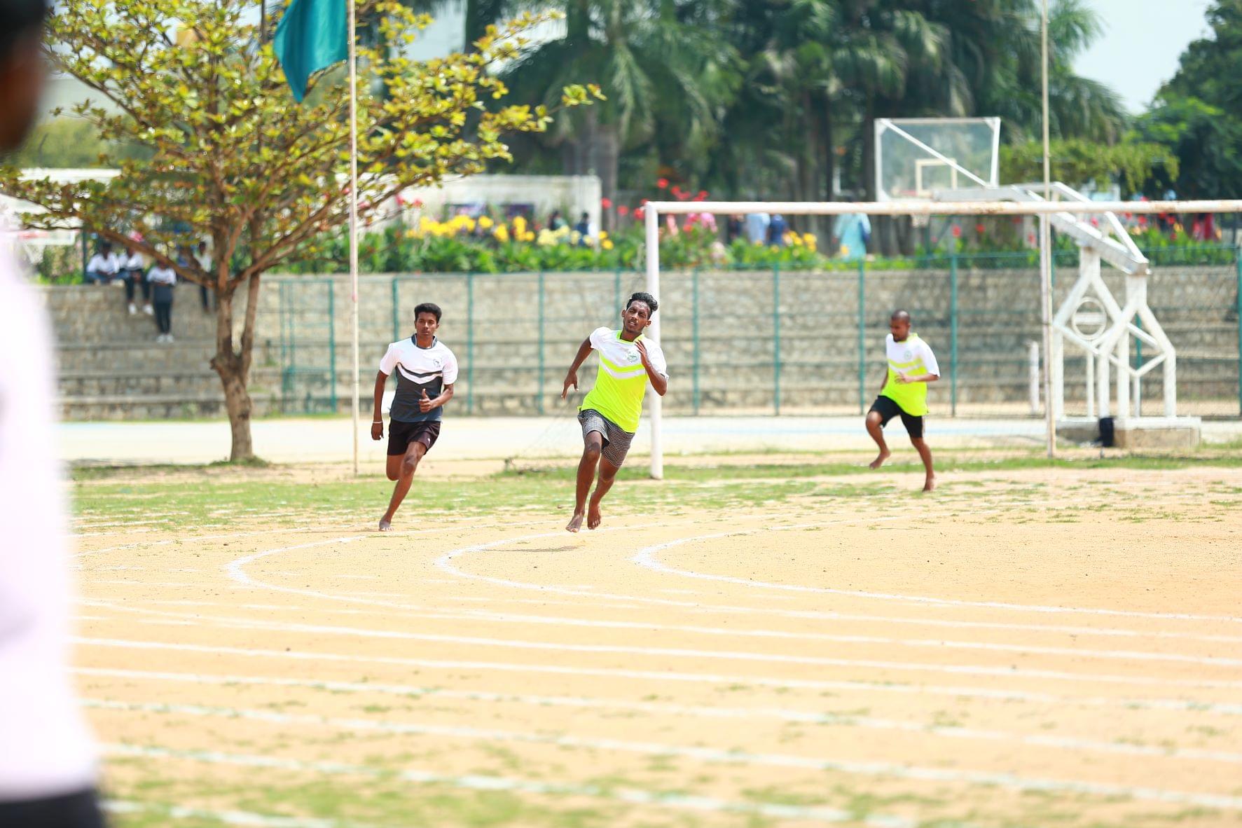 CAIAS Sports photo 1