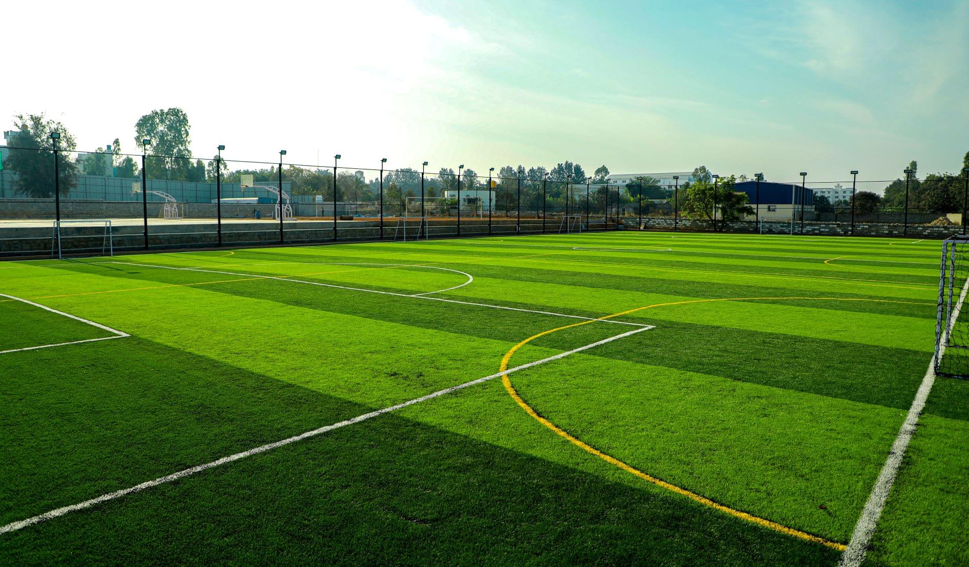 CAIAS Sports photo 4