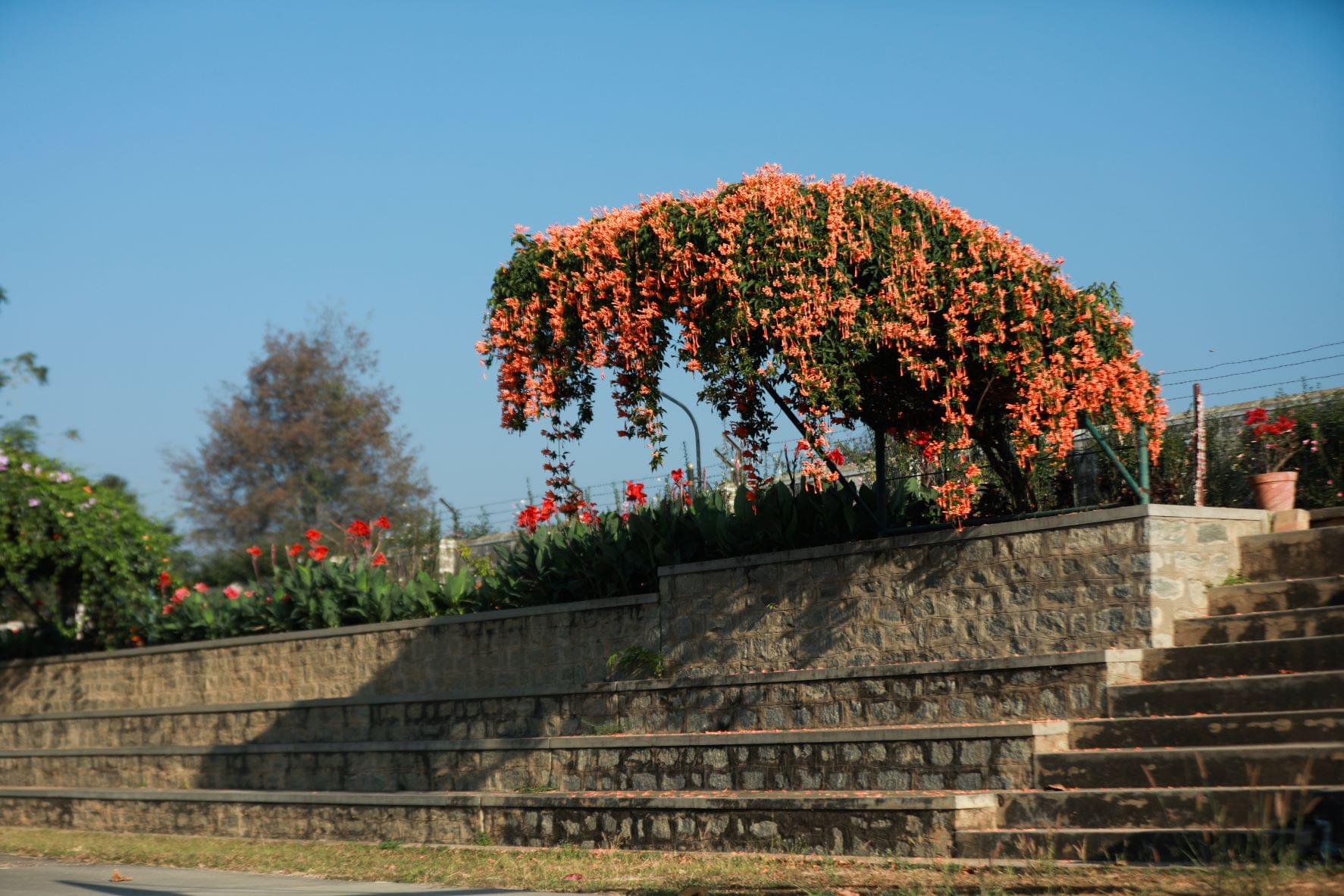 CAIAS Facilites photo 9