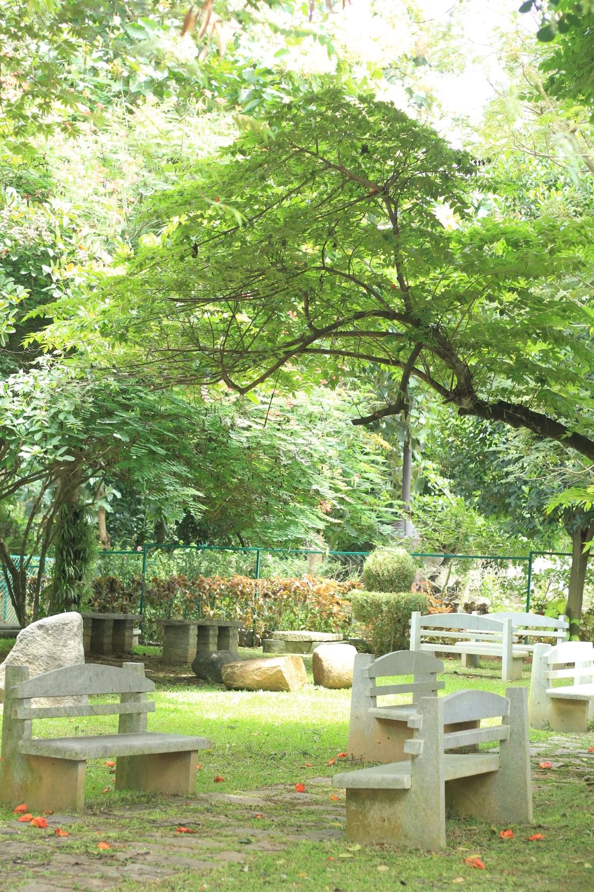 CAIAS Campus photo 11