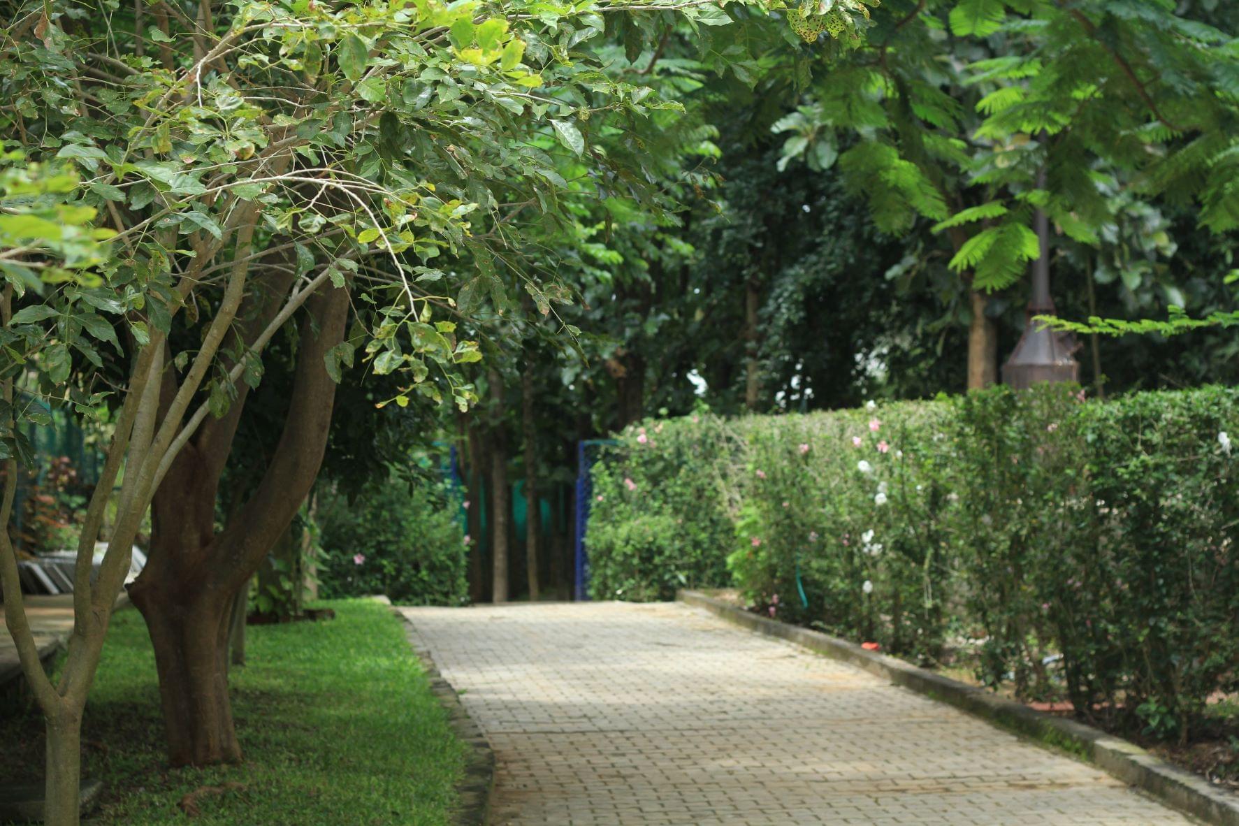 CAIAS Campus photo 12