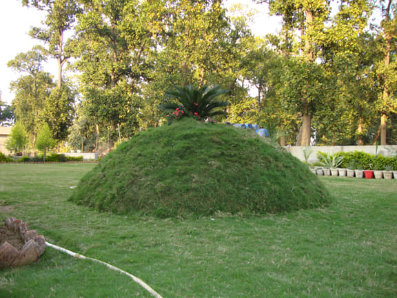 Institute of Technology and Science Raipur Campus & Activities photo 7