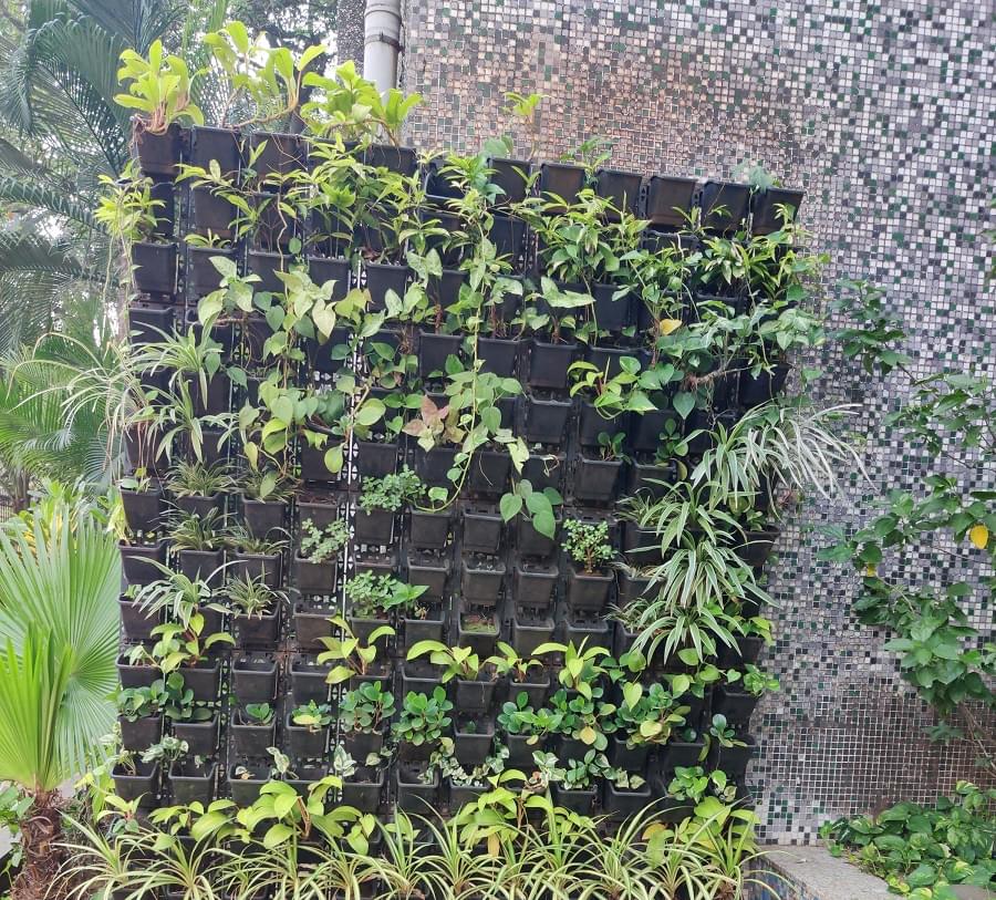 PCACS Campus & Infrastructure photo 4