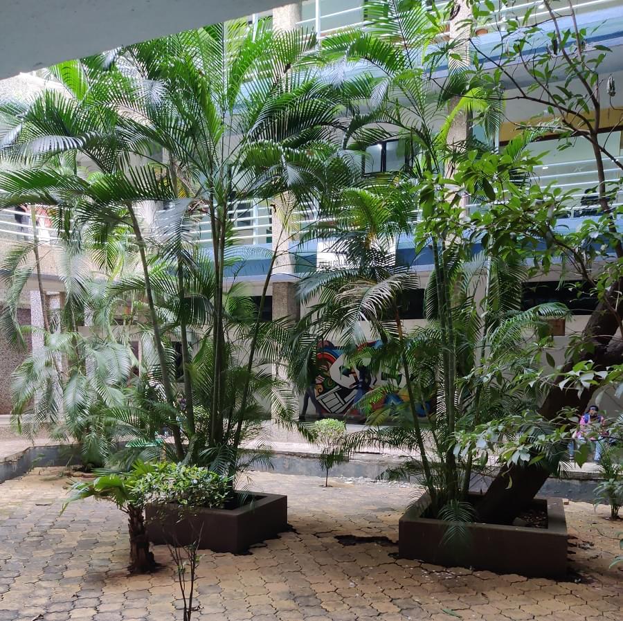 PCACS Campus & Infrastructure photo 14