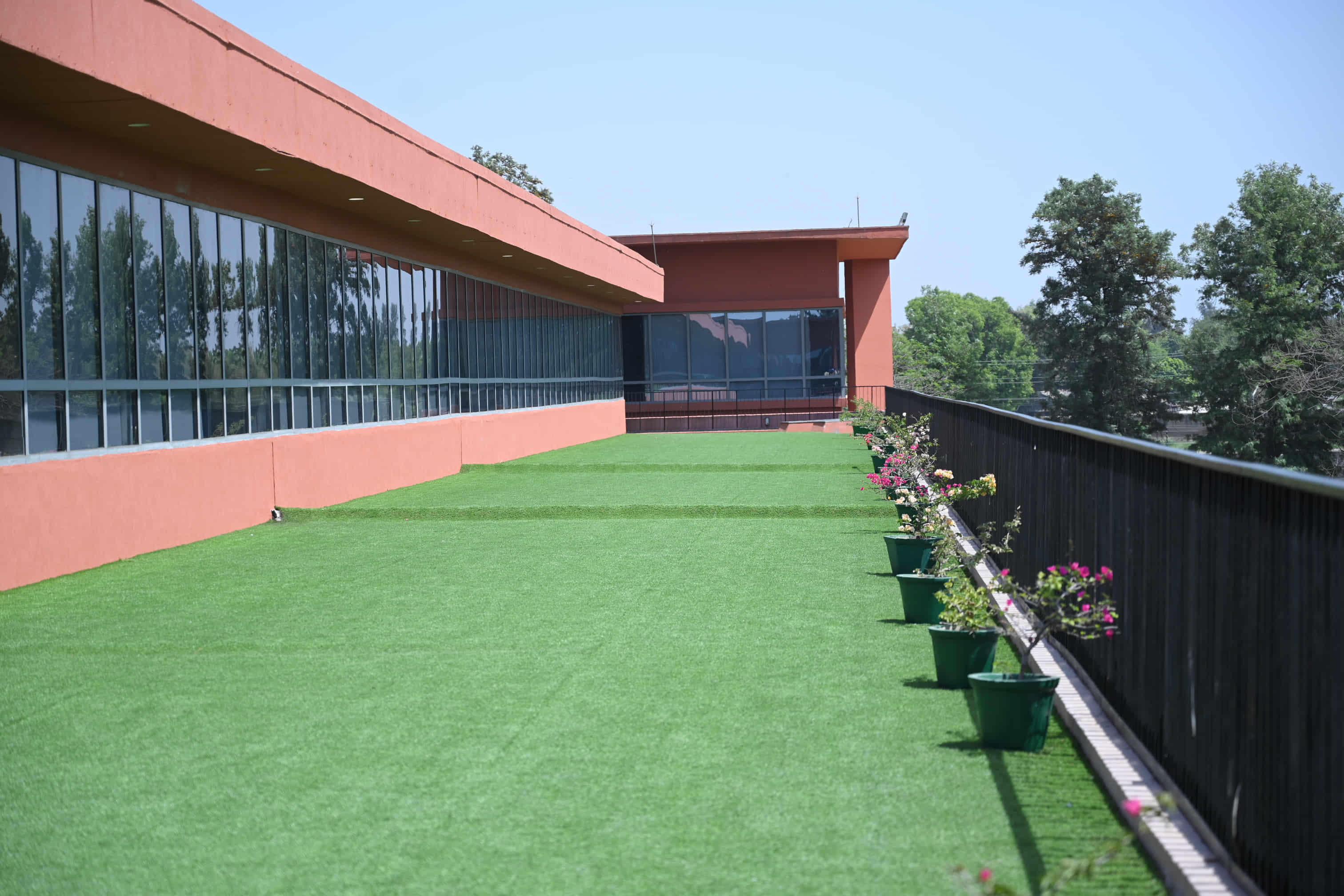 Thapar School of Liberal Arts & Sciences Patiala Campus photo 21