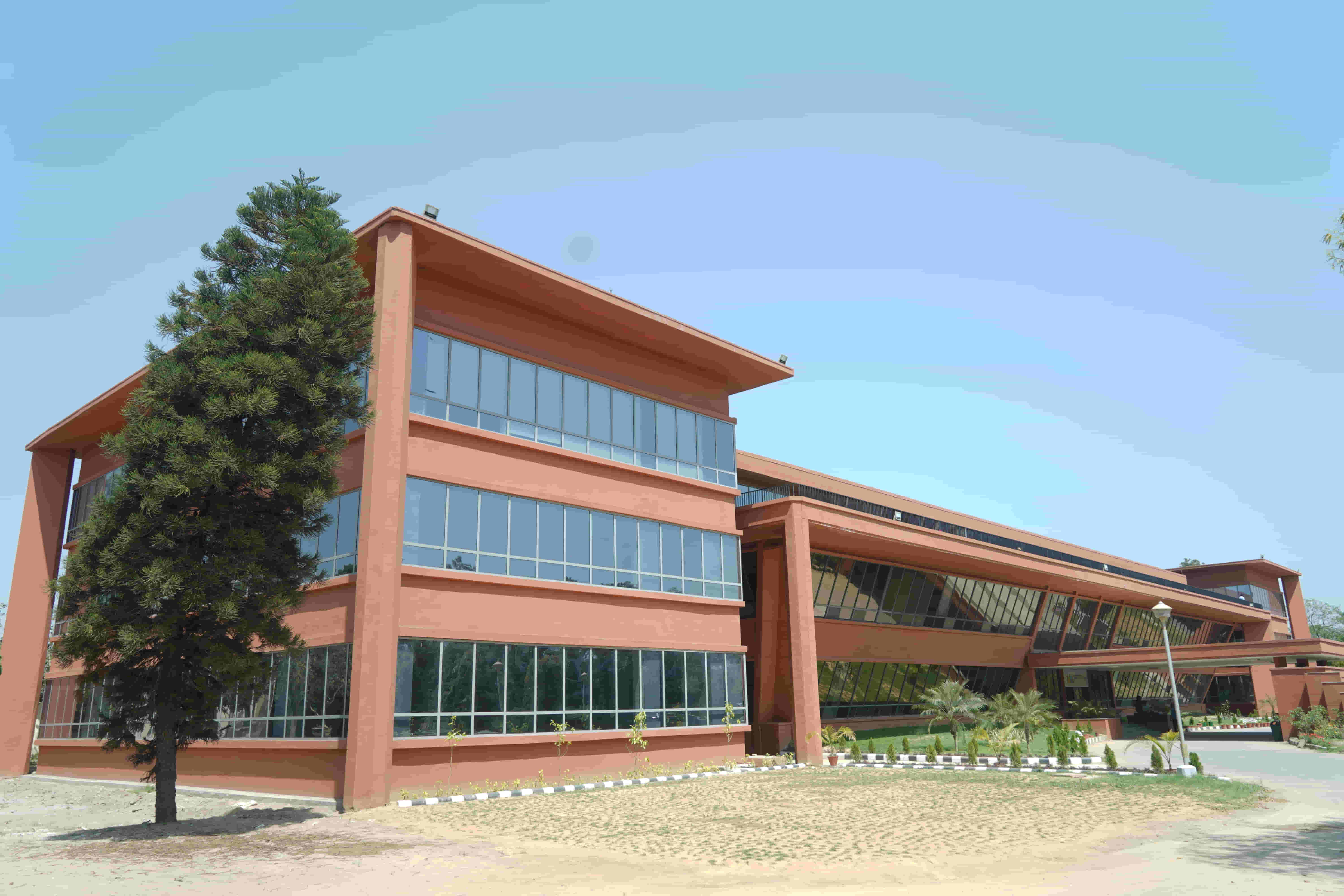 Thapar School of Liberal Arts & Sciences Patiala Campus photo 29