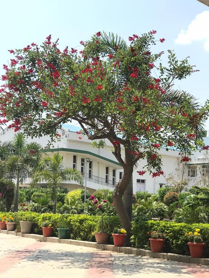 Asian Group of Colleges Patiala Infrastructure photo 19