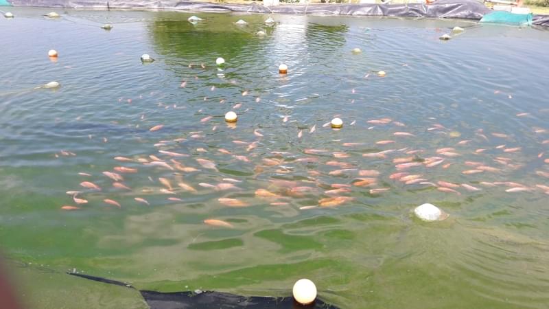 TIAC Campus & Facilities photo 1