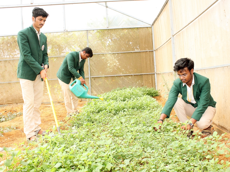 TIAC Campus & Facilities photo 20