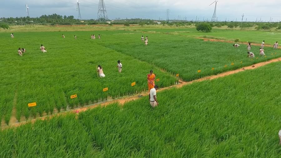 TIAC Campus & Facilities photo 36