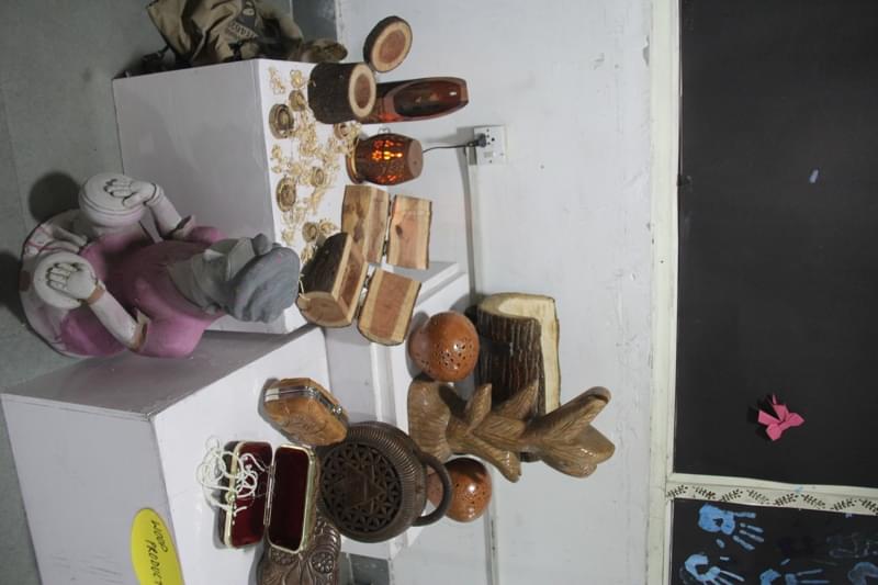 Satyam Fashion Institute Noida Craft Bazaar Exhibition photo 21