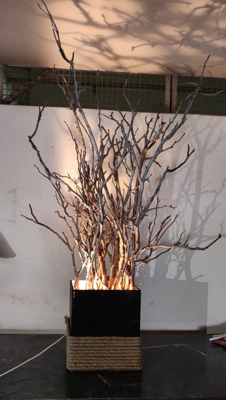 Satyam Fashion Institute Noida LA photo 31