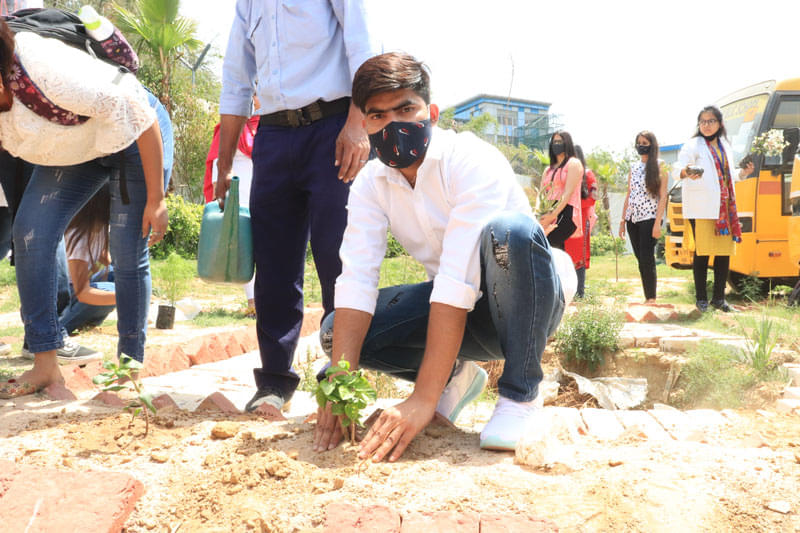 FIMT Plantation Drive photo 7