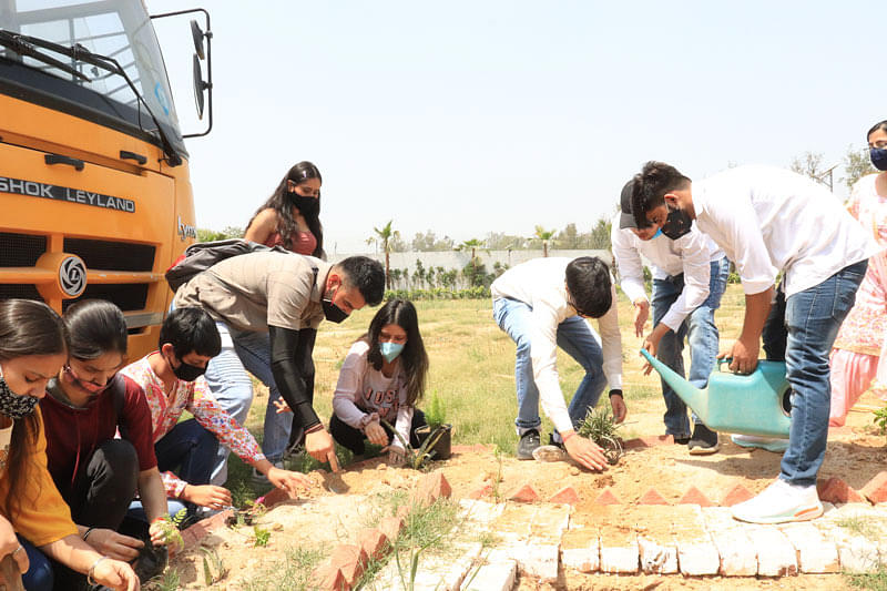 FIMT Plantation Drive photo 6