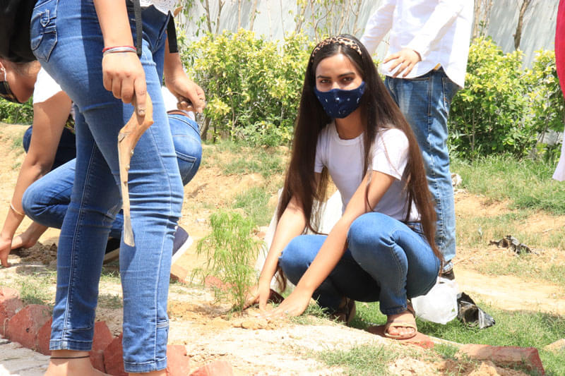FIMT Plantation Drive photo 5