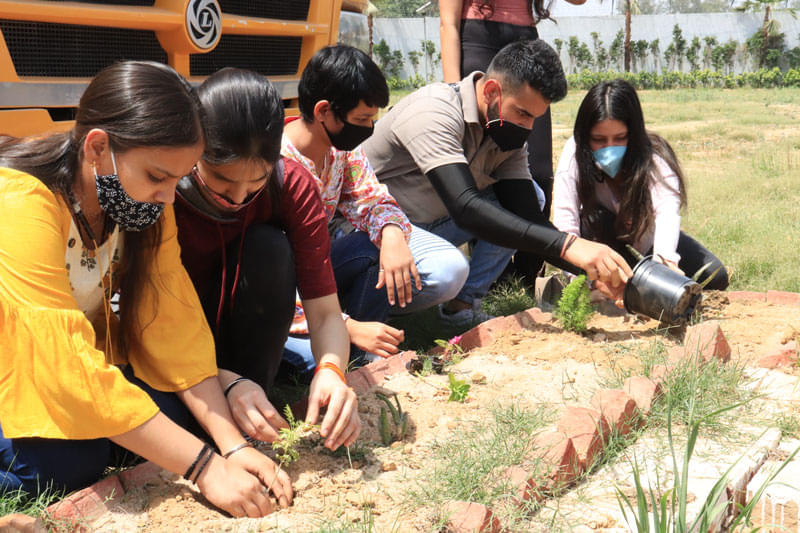 FIMT Plantation Drive photo 4