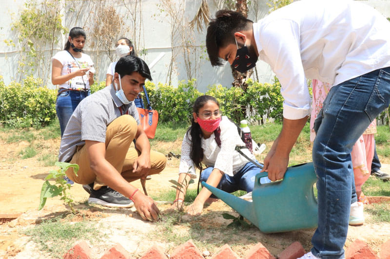 FIMT Plantation Drive photo 1