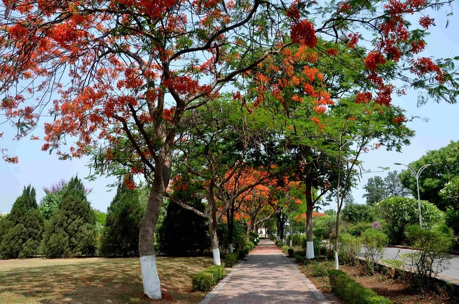 SRHU Campus photo 10