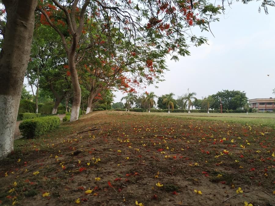 SRHU Campus photo 11