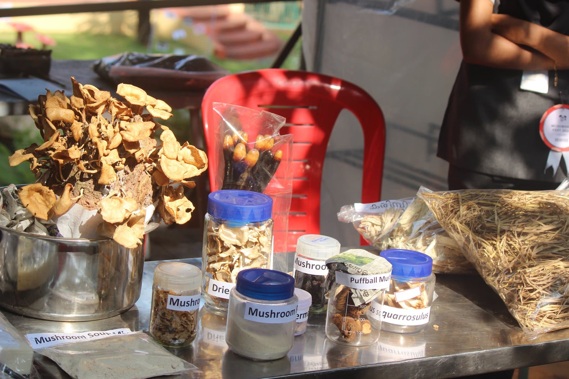 Rajagiri College of Social Sciences Kochi Event photo 8