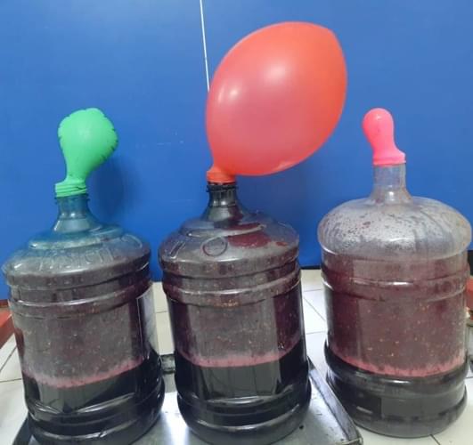 IHM Shri Shakti Grape Crushing photo 20