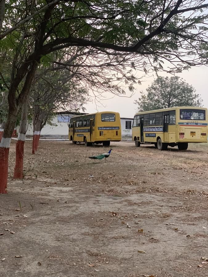 ShriRam Group of Colleges Gwalior Campus photo 8